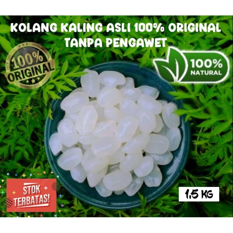 

1,5 Kg Biji Kolang Kaling Super Besar & Kenyal Asli 100% Tanpa Bahan Pengawet