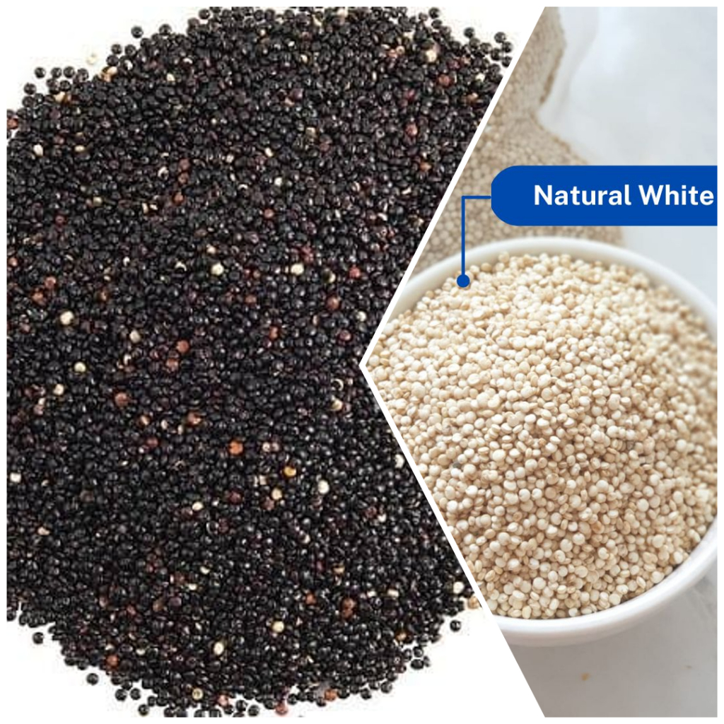 

Biji Bijian Quinoa Seeds Varian Black White Hitam Putih Ready Pekanbaru Riau Indonesia Bisa OJEK PKU