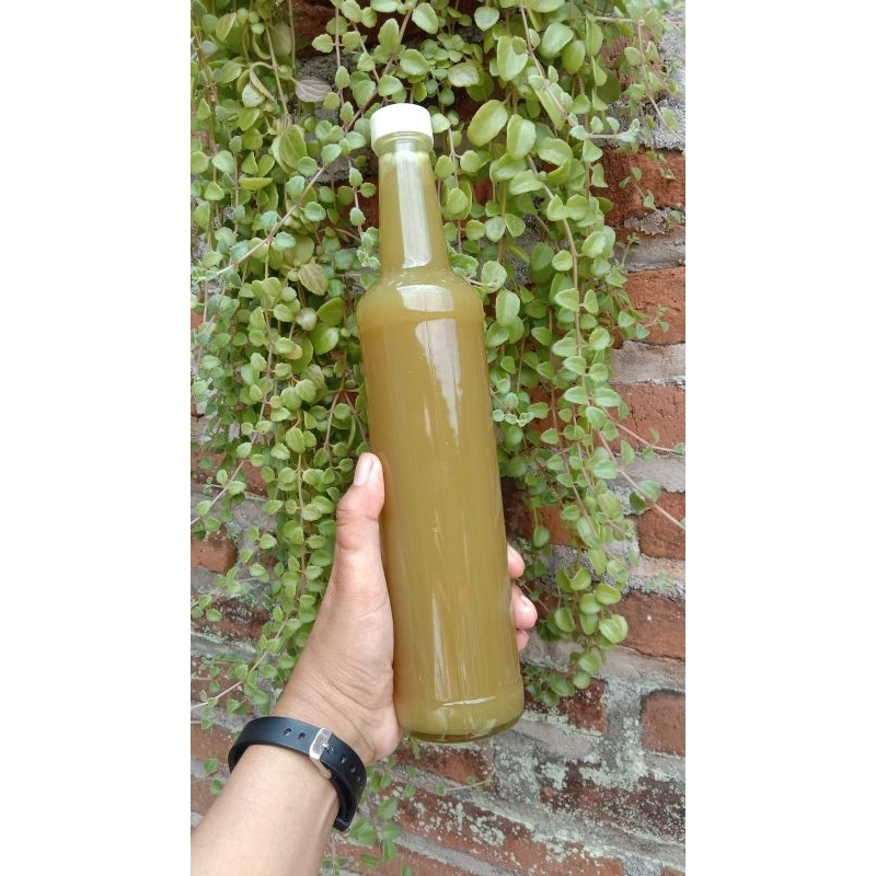 

Madu Murni Lebah Apis Cerana