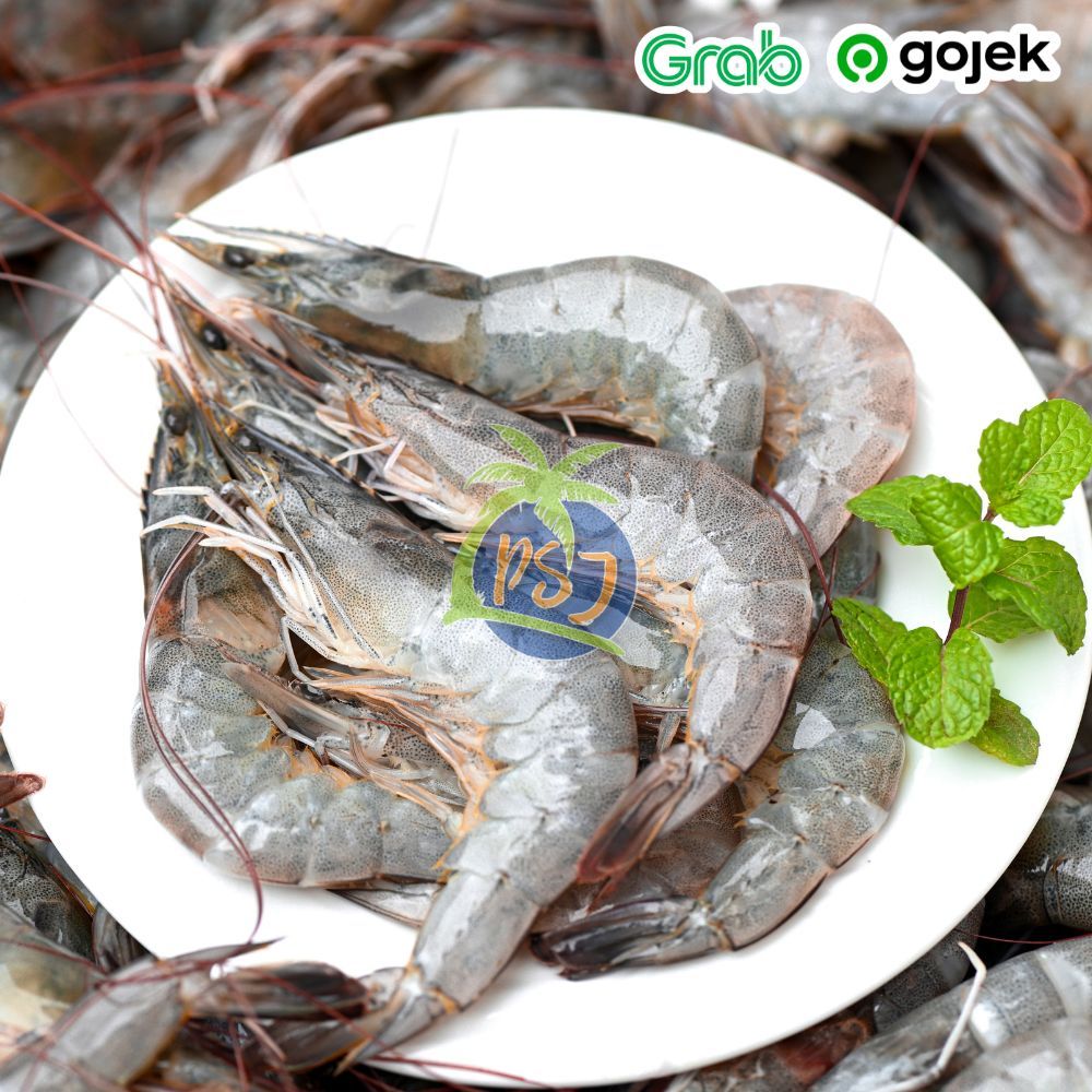 

Udang vaname premium size 30 / vannamei /segar tambak / Jumbo Segar Fresh