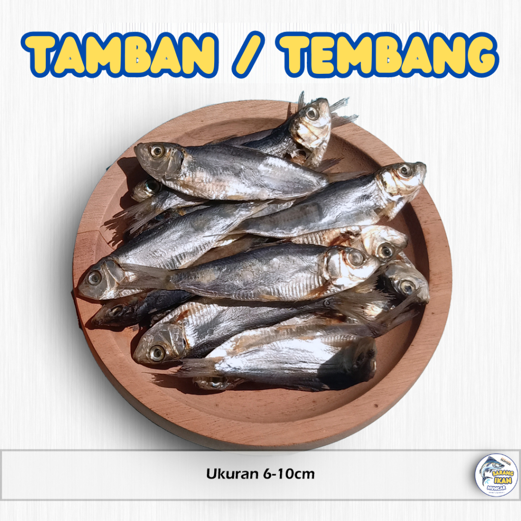 

TAMBAN / TEMBANG KERING/ASIN PREMIUM TERMURAH 100/250/500 gram