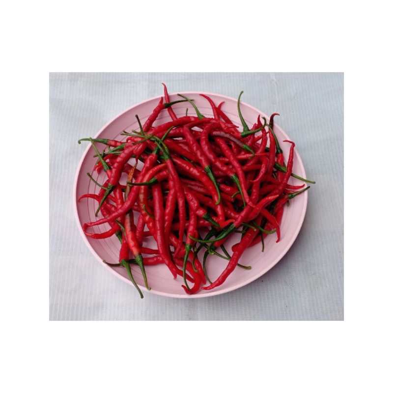 

cabe merah kriting 100g