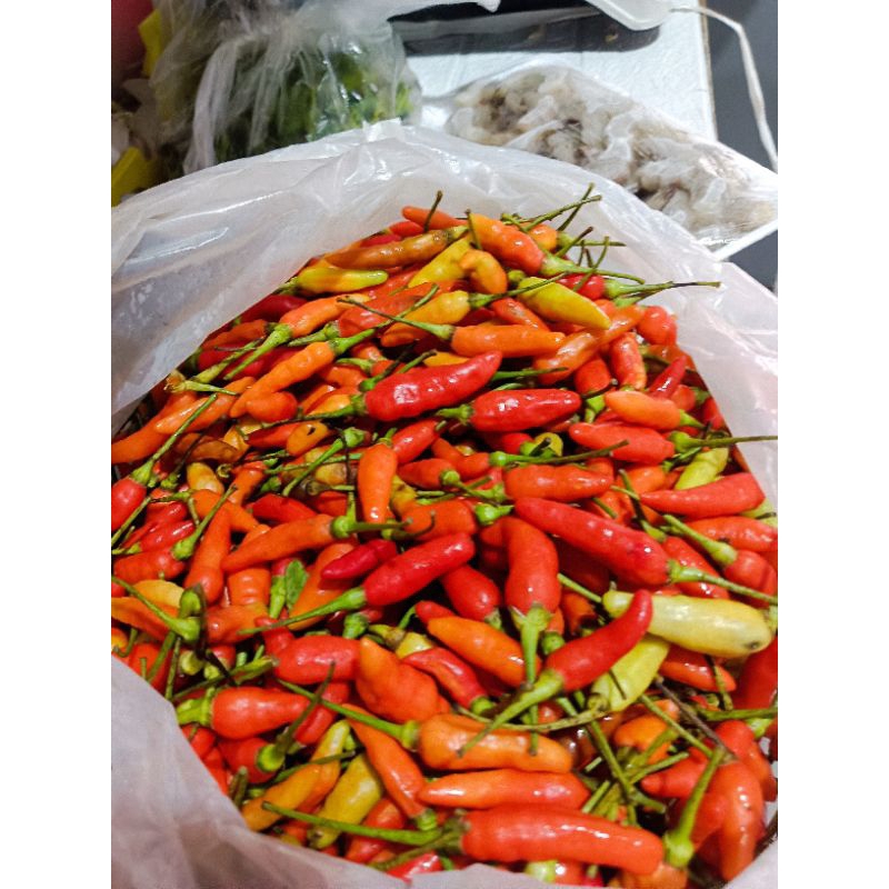 

cabai rawit fresh berat 250gram