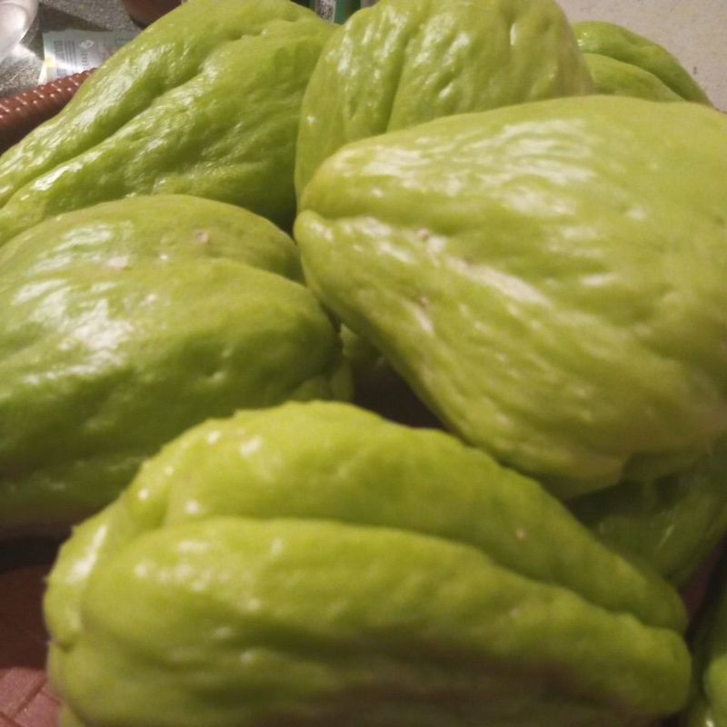 

Labu Besar