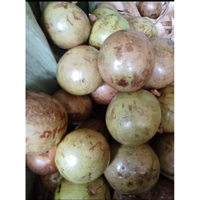

sawo duren