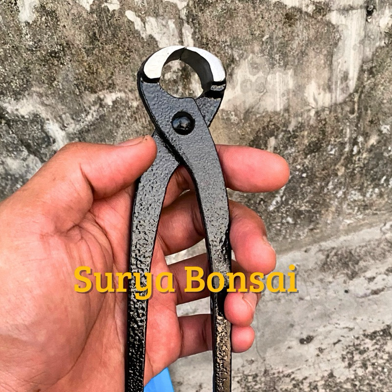 Catok Bonsai Krekut Catut Murah Berkualitas Tajam Siap Pakai