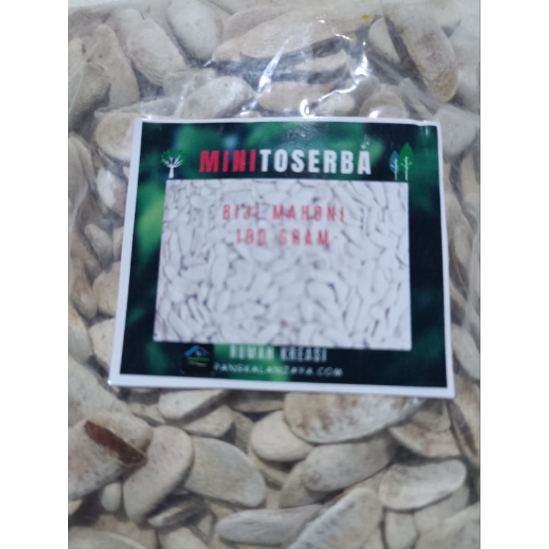 

biji mahoni kupas 100gram untuk ramuan obat herbal