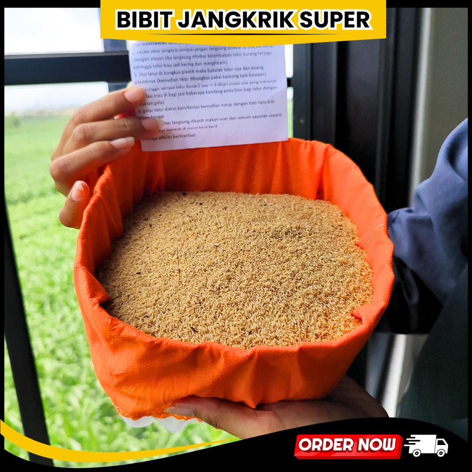 

READY Telur jangkrik cliring Super
