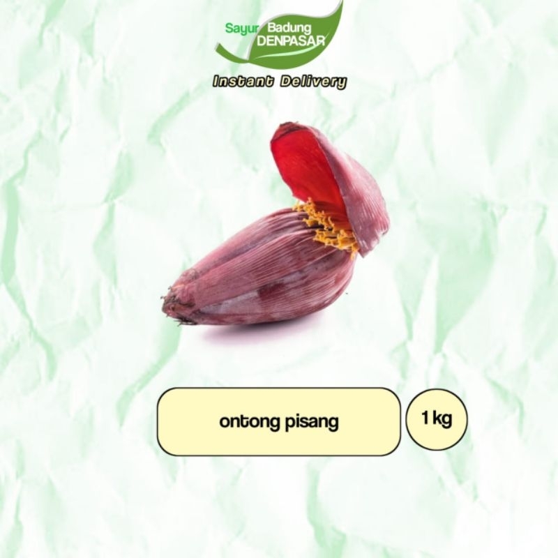 

Sayur Ontong 900gr-1000gr _ Sayur Badung Denpasar