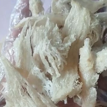 

sarang walet serpihan siap diolah 1gram