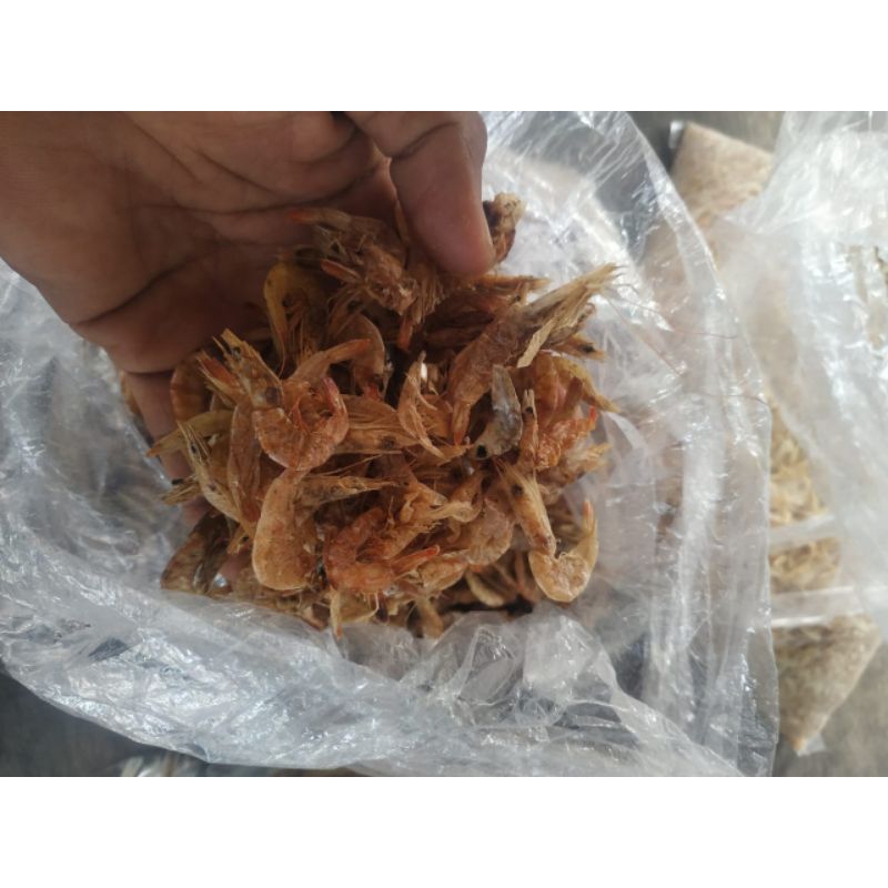 

udang kering besar