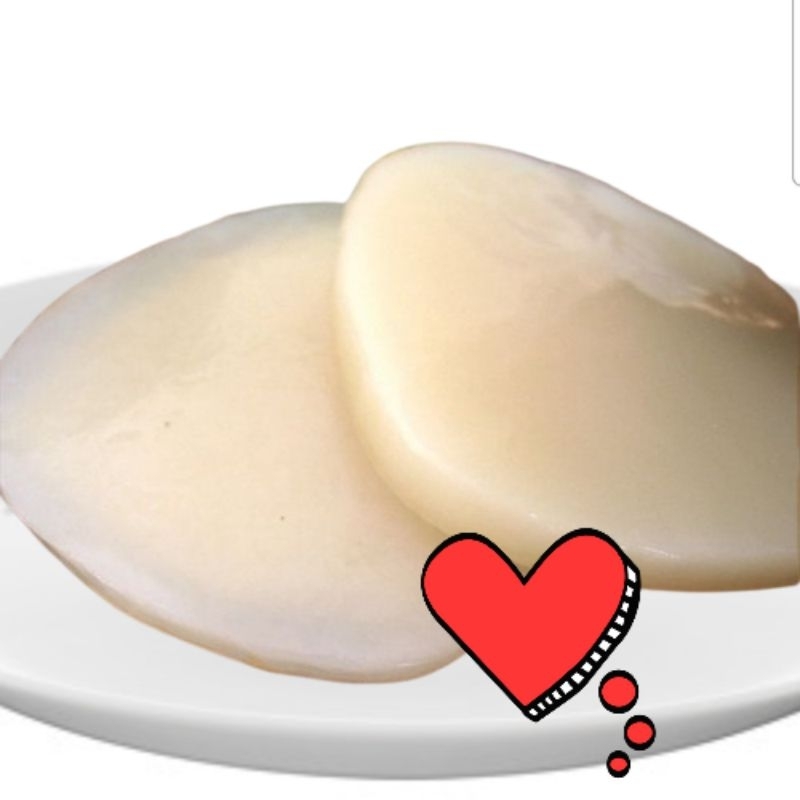 

diameter 12cm tebal 1cm bibit scoby premium dan starter teh kombucha