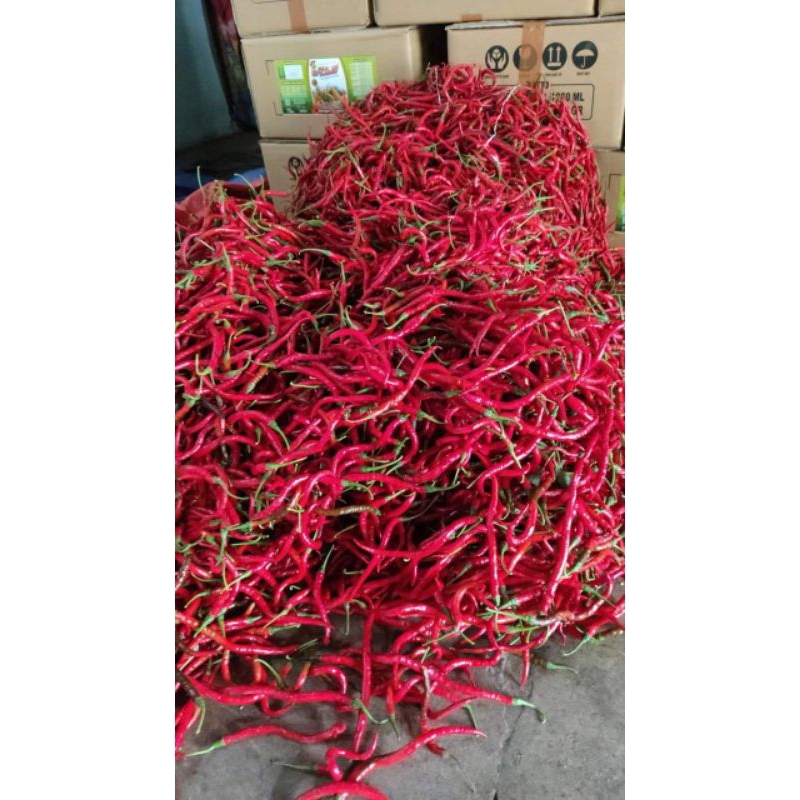 

Cabe Merah Keriting fres 1 kg