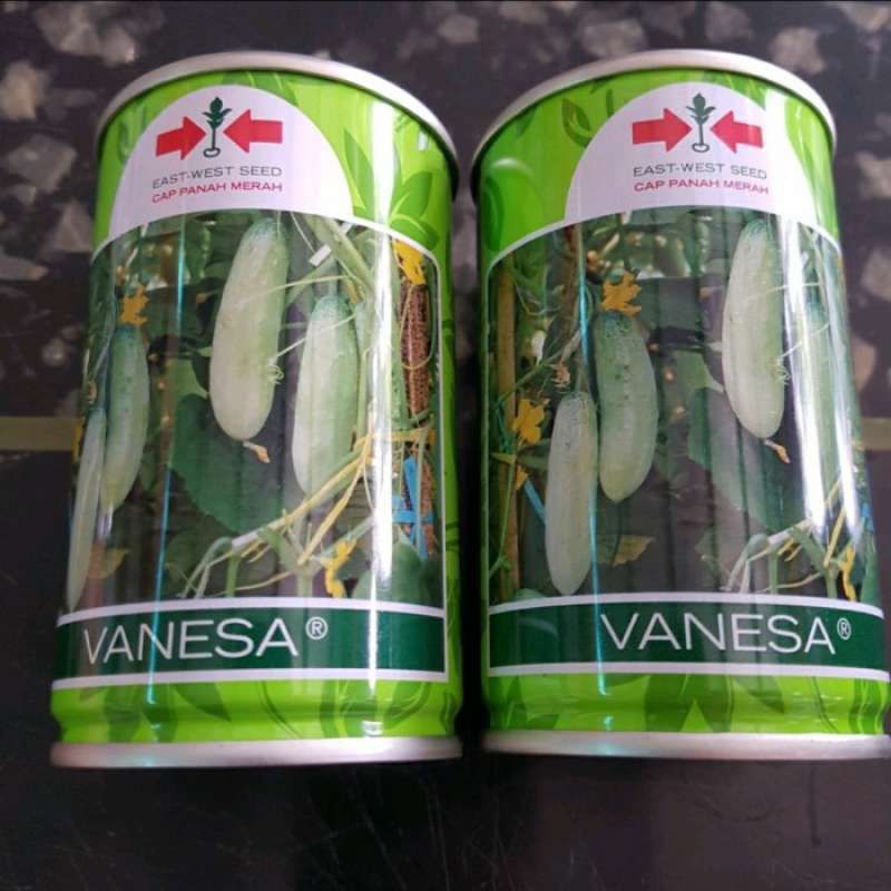 Benih Timun Putih Timun Lalap VANESA F1 50gr