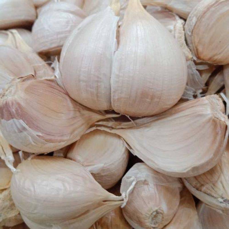 

Bawang Putih Kating 5 Kg