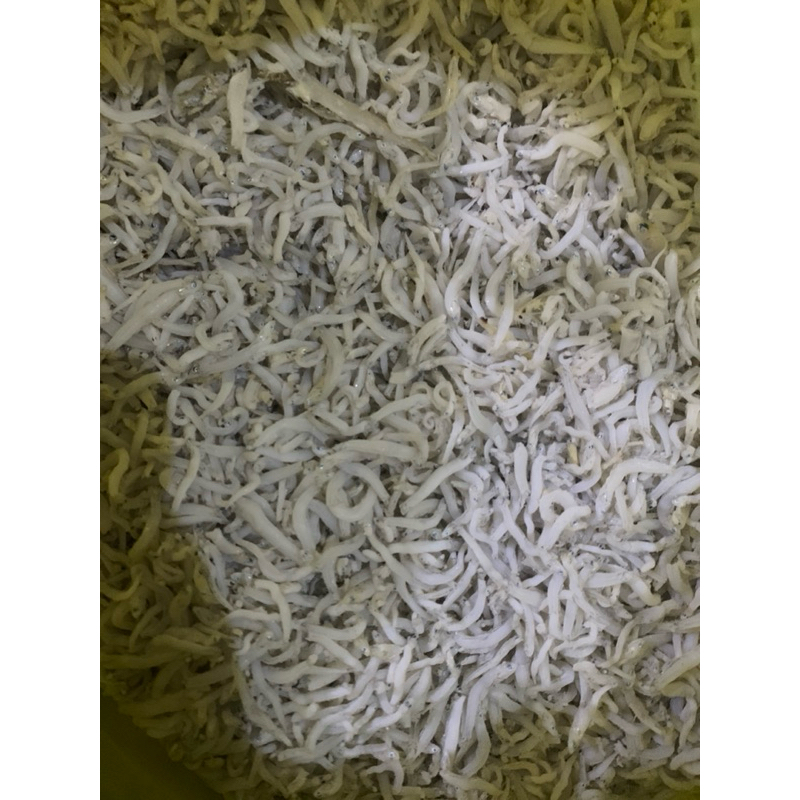

Teri Nasi Medan