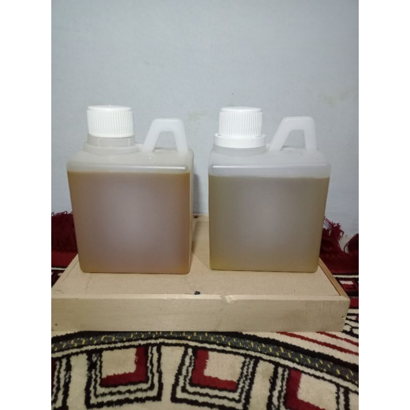 

madu hutan liar Apis dursata -+500ml asli 100%