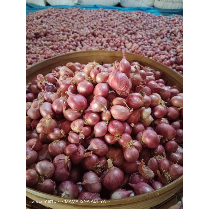 

BAWANG MERAH TANGGUNG 500gr BRAMBANG SUPER BAWANG MERAH SUPER