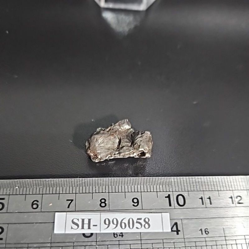 Campo del Cielo Iron Meteorite asli Gran Chaco Gualamba, Argentina