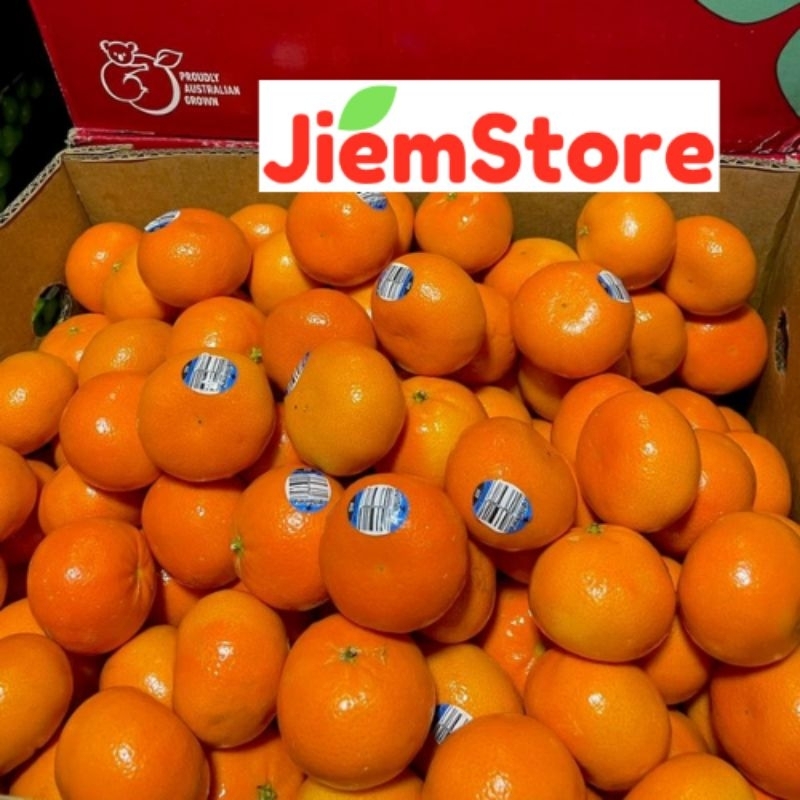 

Jeruk Afourer / Affourer Mandarin Manis Fresh Buah Segar