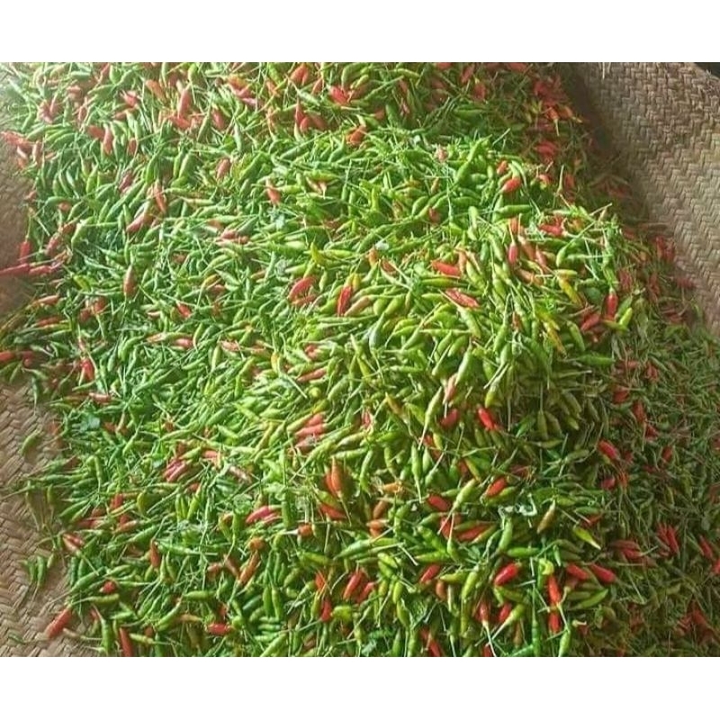 

rawit ijo / pasar online karuwisi