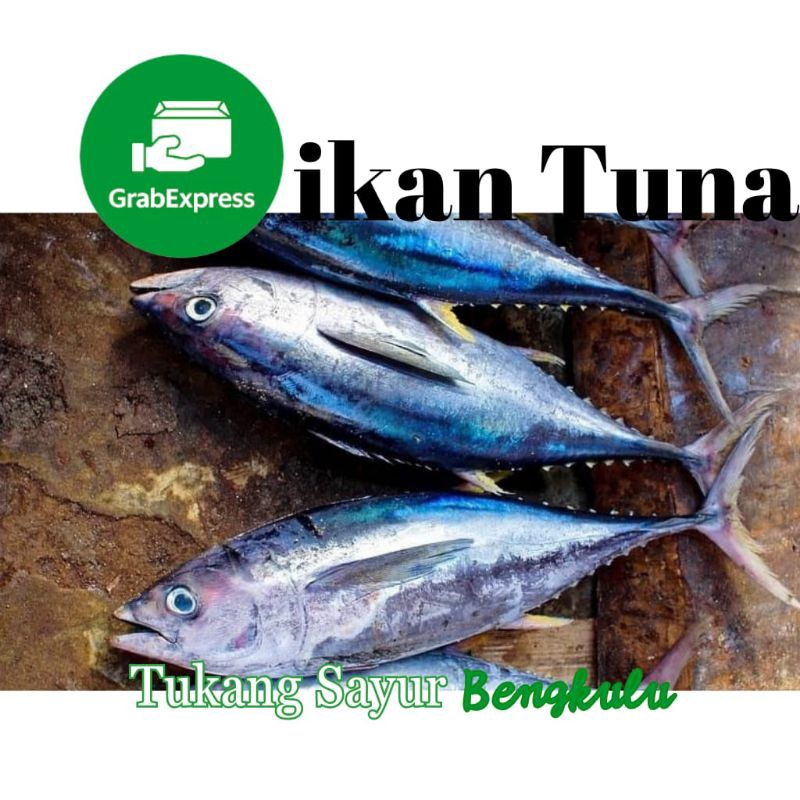 

ikan Tuna Grab instan Tukang Sayur Bengkulu