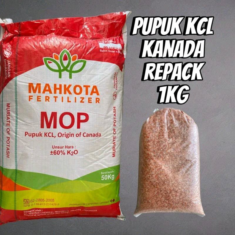 PUPUK KCL MAHKOTA ECER KEMASAN 1 KG
