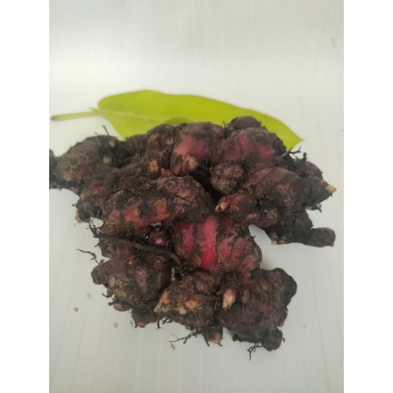 

JAHE MERAH MEDAN SEGAR, ORGANIC RED GINGER FRESH, MASIH ADA TANAH AGAR AWET SEGAR, FOTO RIIL TANPA EDIT
