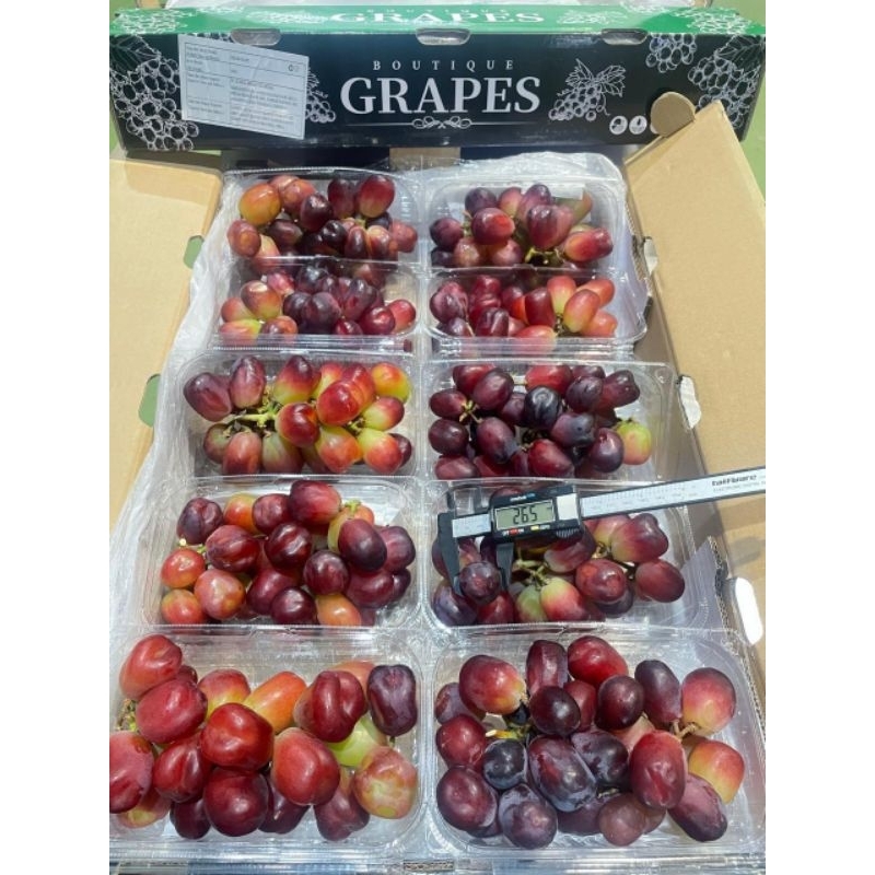 

Anggur Red Muscat JUMBO size