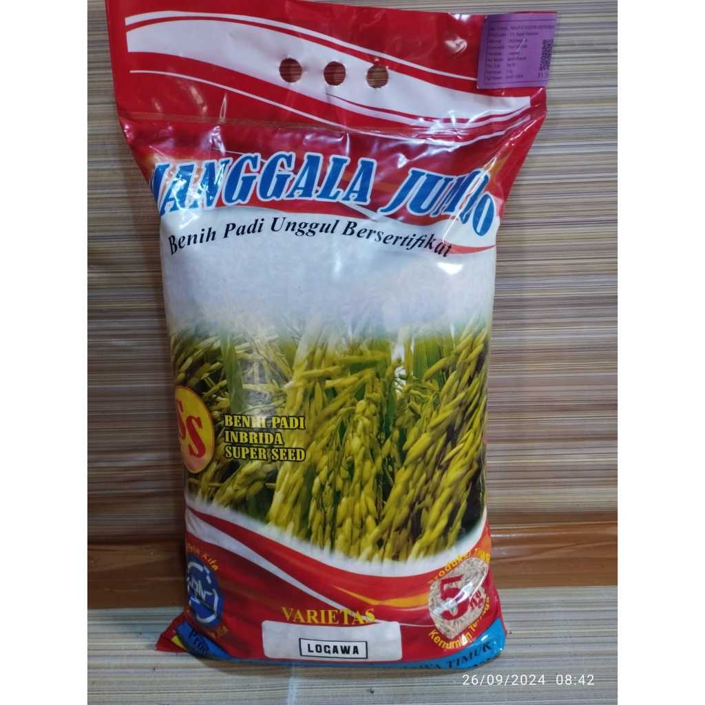 BENIH PADI VARIETAS LOGAWA TERBARU