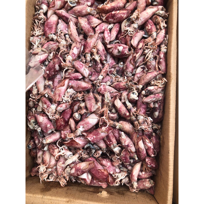 

Ikan Asin Cumi Sotong PREMIUM 500gr