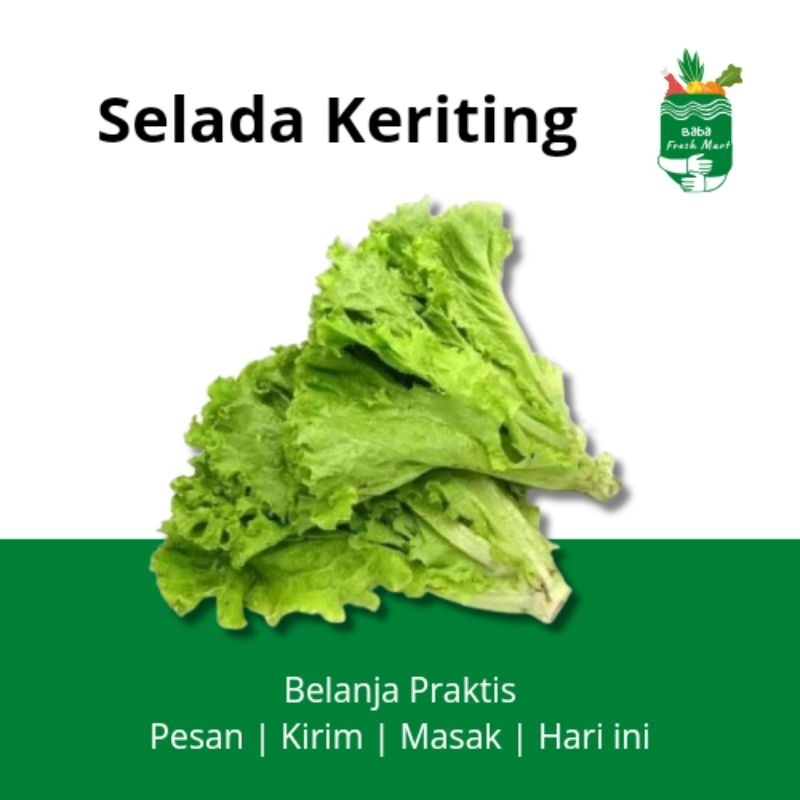 

Selada Keriting 250gr - Baba Freshmart