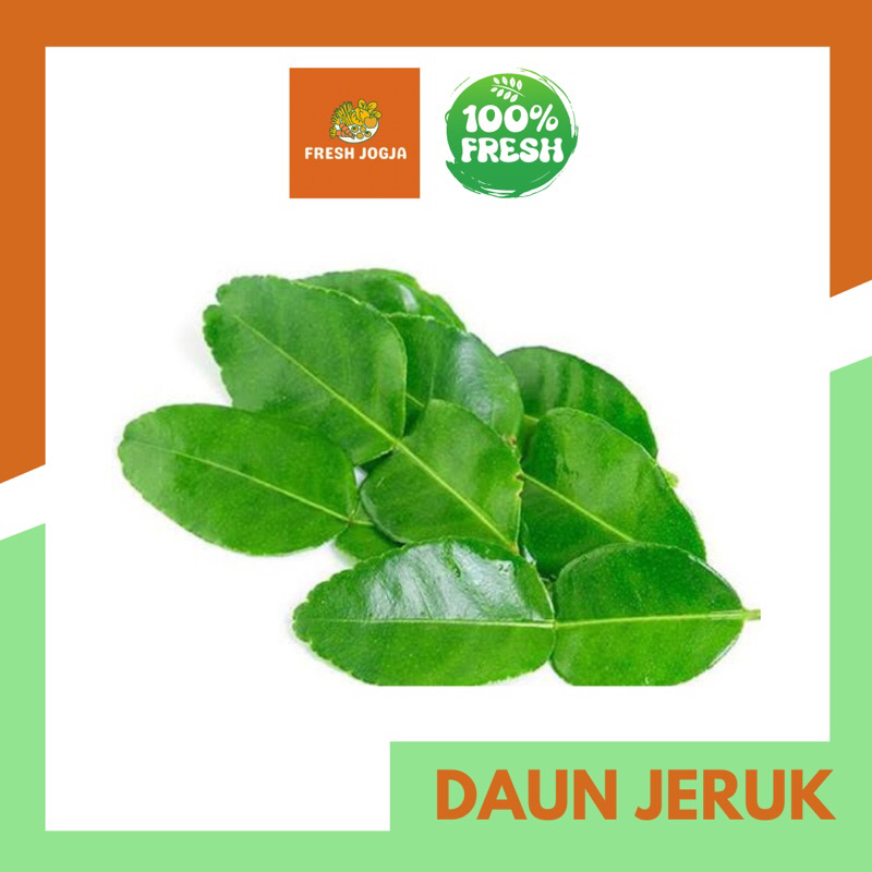 

Daun Jeruk Segar | Fresh Jogja