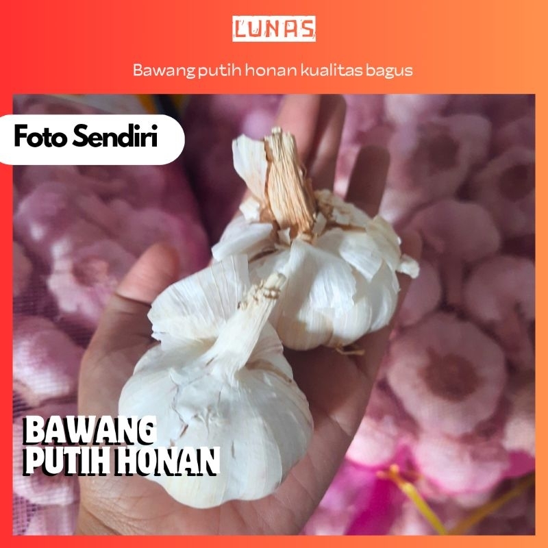 

Bawang putih Honan | Bawang putih honan 500 gr | Bawang putih honan murah | bawang putih | bawang | bumbu masak murah | bumbu | bumbu dapur murah