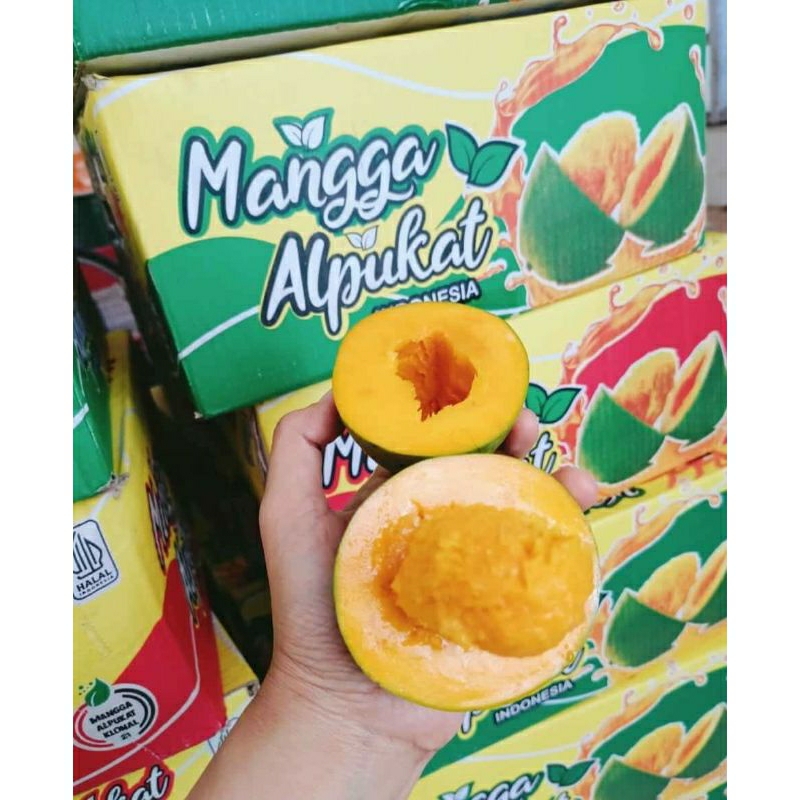 

mangga harumanis 1 dus ( 5 kilo)