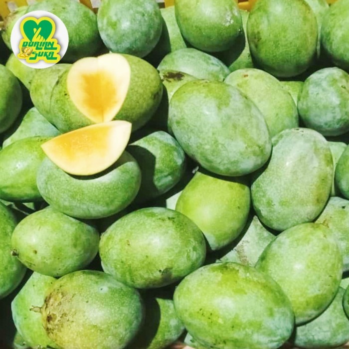 

Buah Mangga Manalagi Madu Pasuruhan