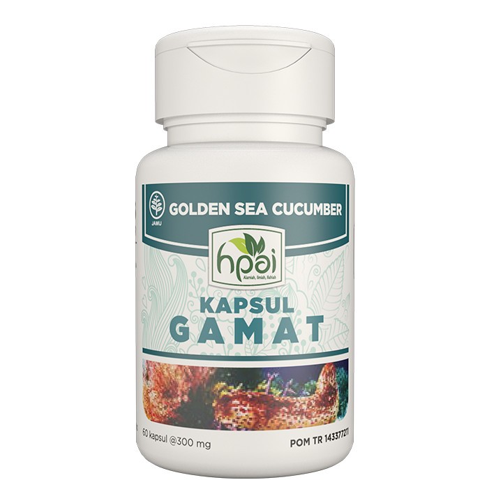 GAMAT HNI HPAI KAPSUL  Meredakan Nyeri Sendi