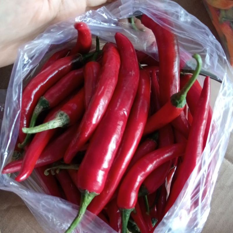 

CABE merah besar 500gr