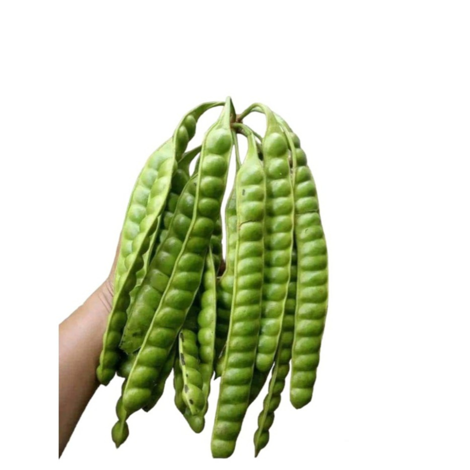 

Promo Pete Super Per 5 Papan