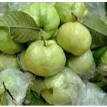 

Jambu Kristal 1 Kg