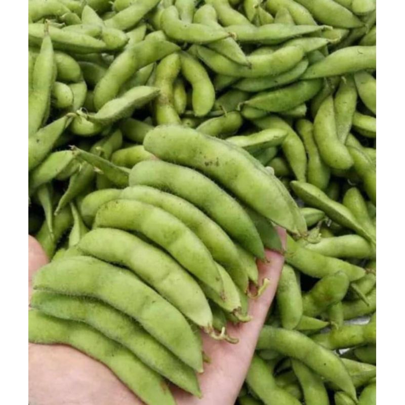

*Edamame*✓1 kg