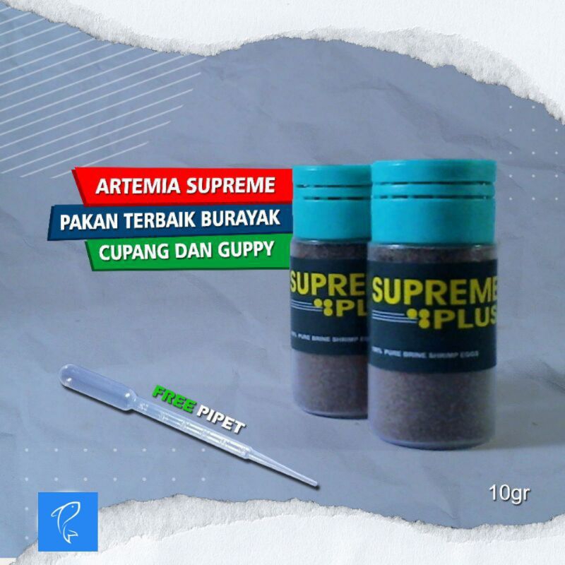 Artemia Supreme Golden Plus pakan terbaik burayak cupang dan guppy