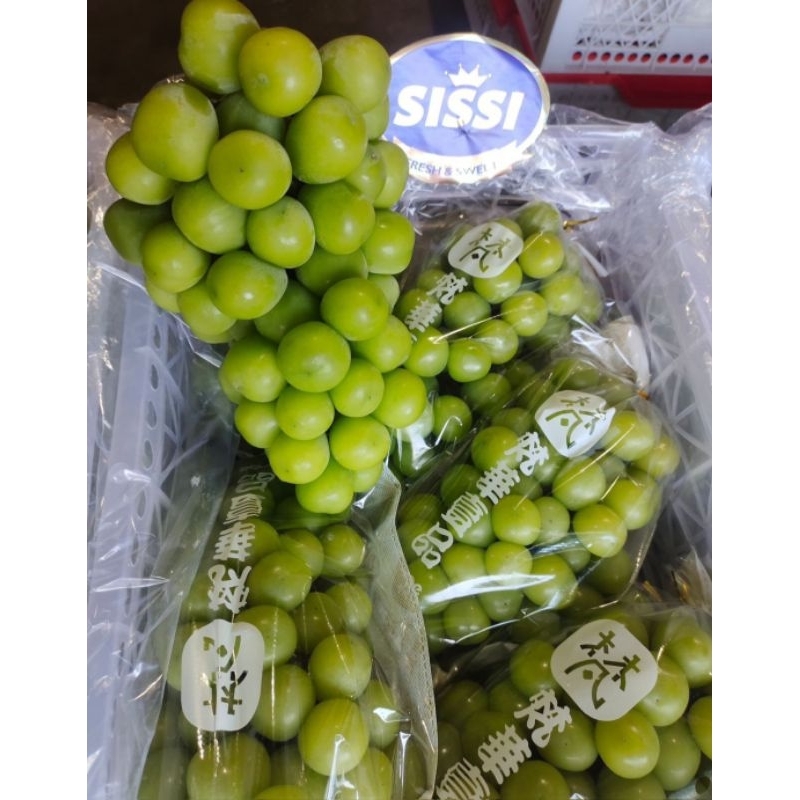 

ANGGUR GREEN MUSCAT BUCKET 1 KG