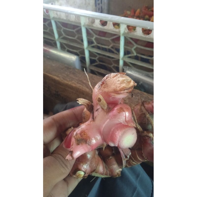 

laos basah