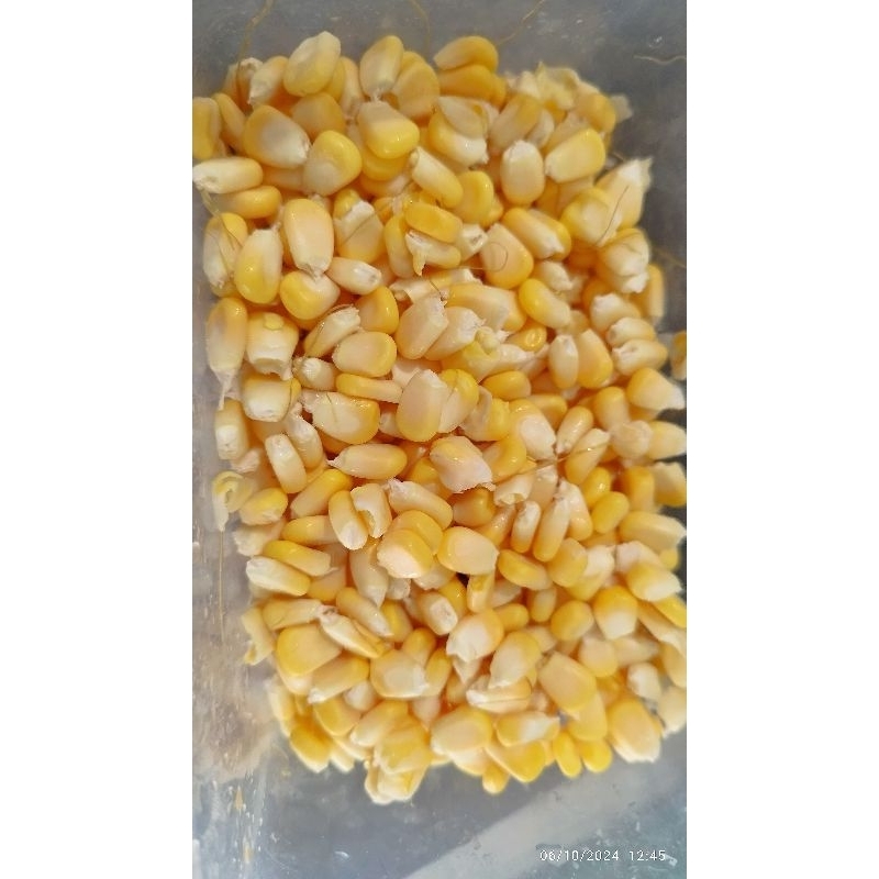 

Jagung Manis Pipil 100 gr Fresh Bukan Frozen