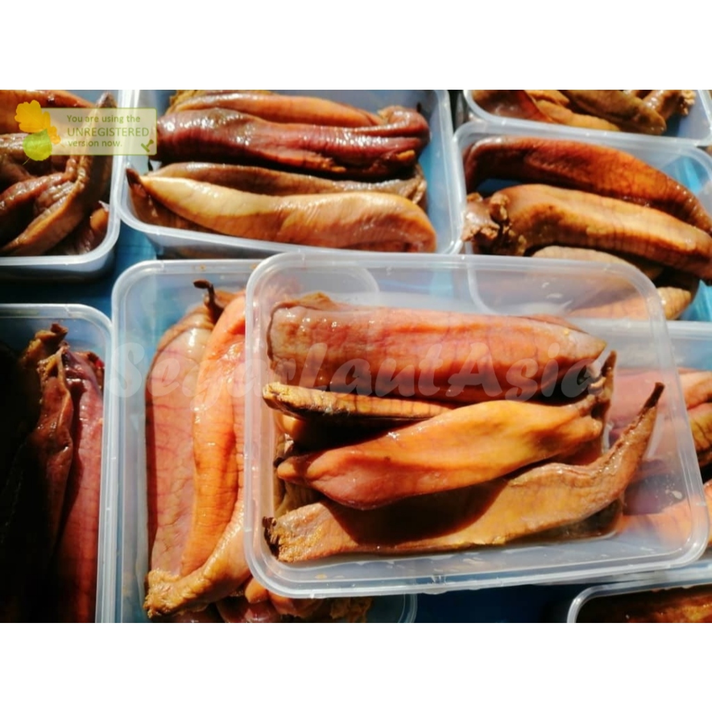 

Telur Ikan Tenggiri Telor Ikan Tenggiri Segar 1kg