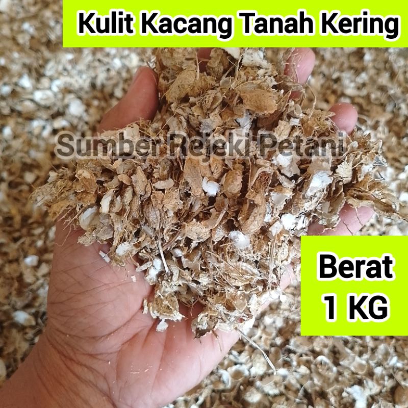 Kulit Kacang Tanah Kering Berat 1kg