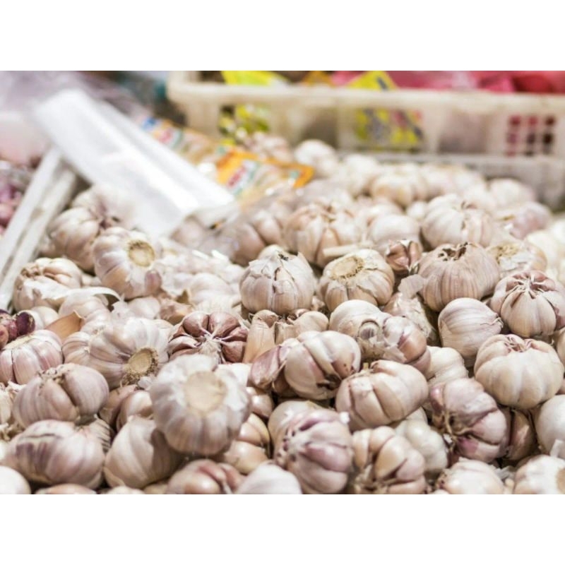 

Bawang Putih 1kg