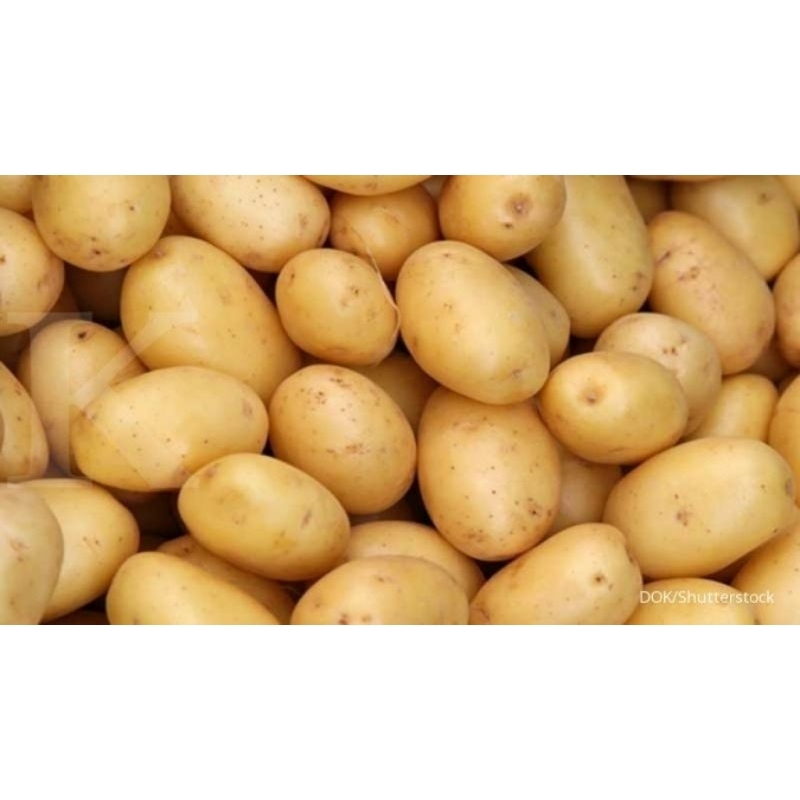 

Kentang Super Sedang 500gram asli probolinggo