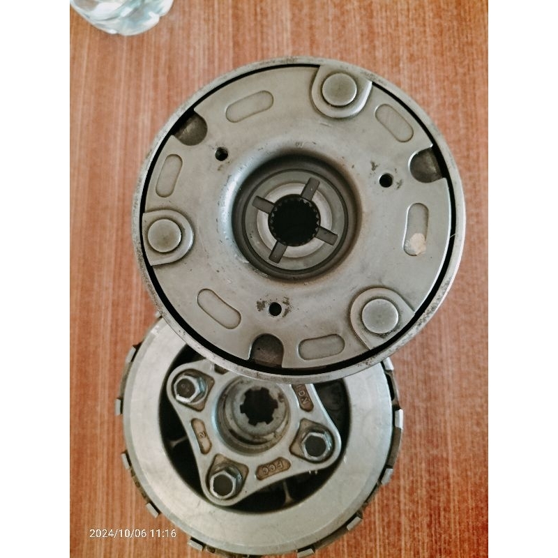 primer skunder Astrea